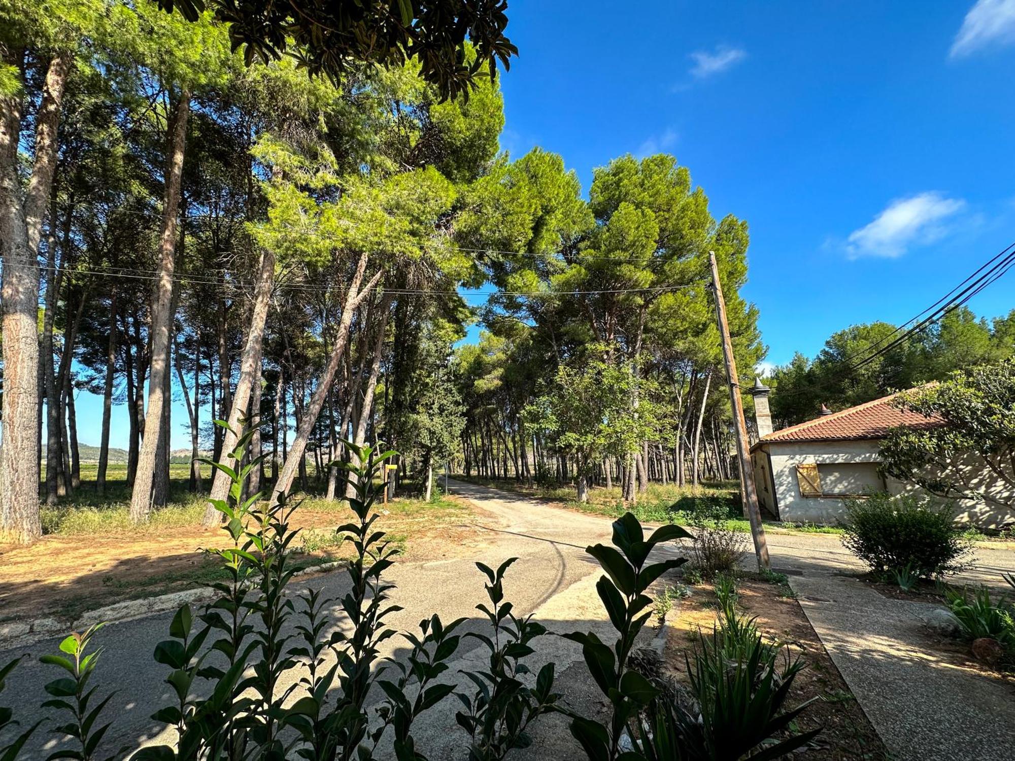 Casa Rural Los Pinos Valmuel Exterior photo