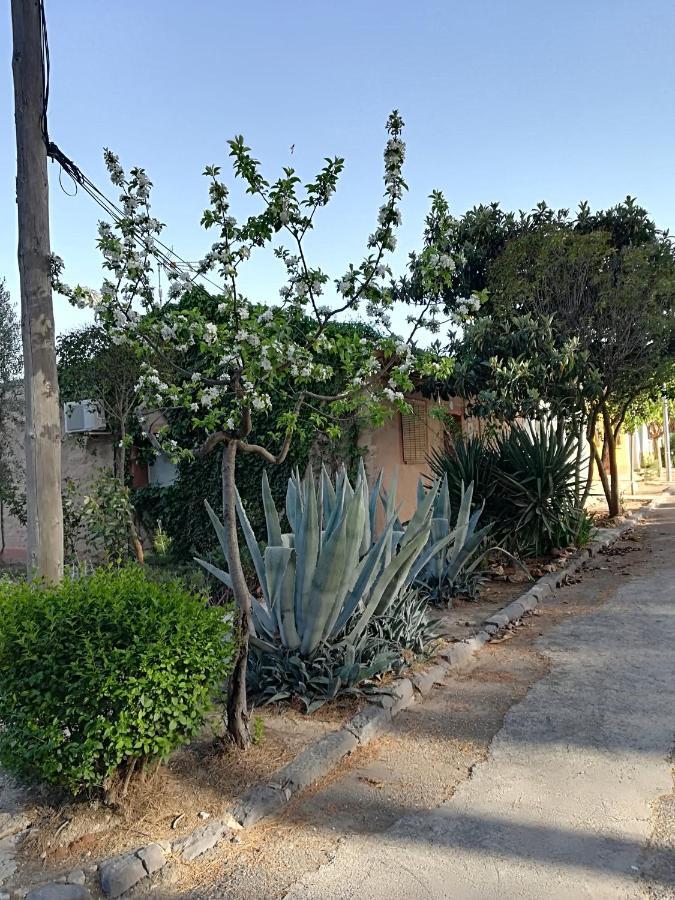 Casa Rural Los Pinos Valmuel Exterior photo